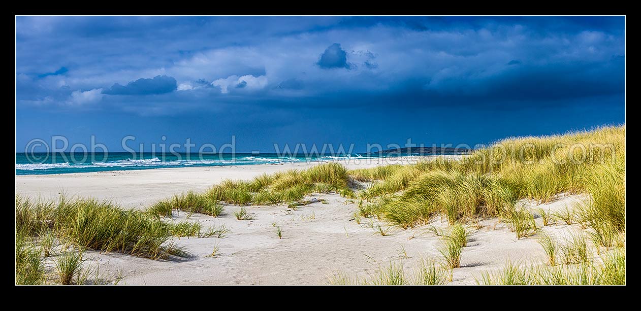 Image of Ocean Mail Beach on the northern coast of Chatham Island, on a moody day. Panorama amongst the sand dunes, Chatham Islands Rekohu, Chatham Islands District, Chatham Islands Region, New Zealand (NZ) stock photo image