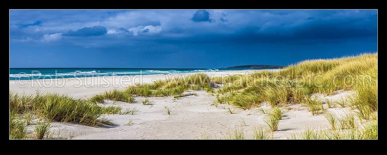 Image of Ocean Mail Beach on the northern coast of Chatham Island, on a moody day. Panorama amongst the sand dunes, Chatham Islands Rekohu, Chatham Islands District, Chatham Islands Region, New Zealand (NZ) stock photo image