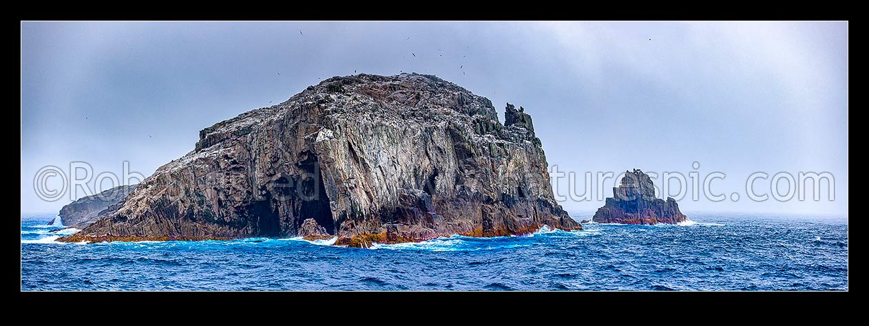 Image of Bounty Islands Centre Group, Funnel Island centre with Coronet Island right. Moutere Hauriri panorama in NZ sub antarctic, Bounty Islands, NZ Sub Antarctic District, NZ Sub Antarctic Region, New Zealand (NZ) stock photo image