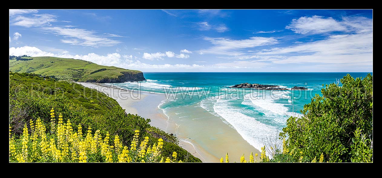 Image of Smaills Beach and Bird Island, with Maori Head beyond. Dunedin's South coast. Panorama, Dunedin, Dunedin City District, Otago Region, New Zealand (NZ) stock photo image