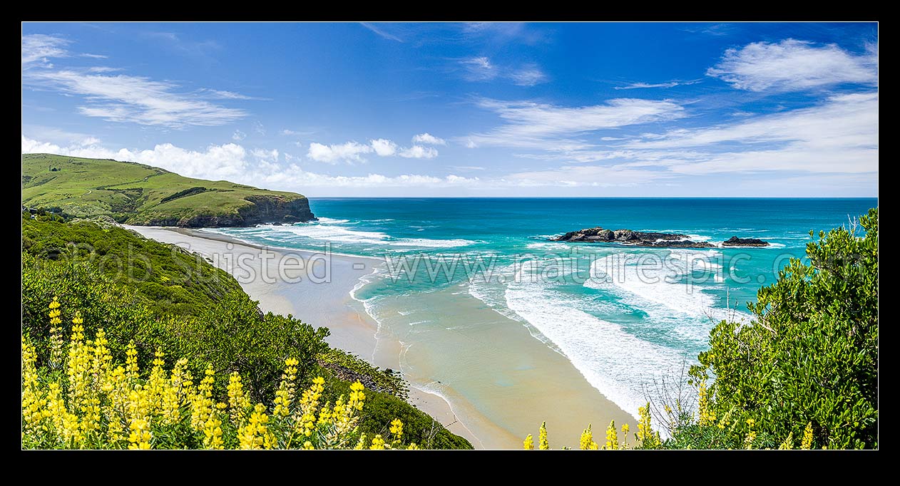 Image of Smaills Beach and Bird Island, with Maori Head beyond. Dunedin's South coast. Panorama, Dunedin, Dunedin City District, Otago Region, New Zealand (NZ) stock photo image