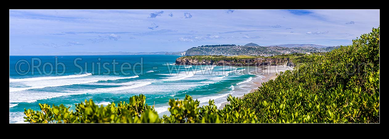 Image of Tomahawk Beach, looking south past Ocean Grove to Lawyers Head and St Clair suburb behind. Dunedin south coast. Panorama, Dunedin, Dunedin City District, Otago Region, New Zealand (NZ) stock photo image