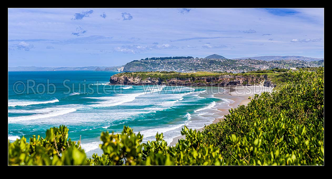 Image of Tomahawk Beach, looking south past Ocean Grove to Lawyers Head and St Clair suburb behind. Dunedin south coast. Panorama, Dunedin, Dunedin City District, Otago Region, New Zealand (NZ) stock photo image