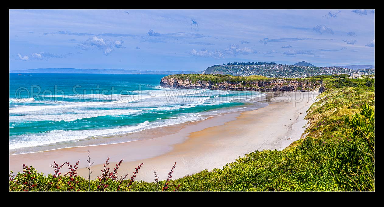 Image of Tomahawk Beach, looking south past Ocean Grove to Lawyers Head and St Clair suburb behind. Dunedin south coast. Panorama, Dunedin, Dunedin City District, Otago Region, New Zealand (NZ) stock photo image