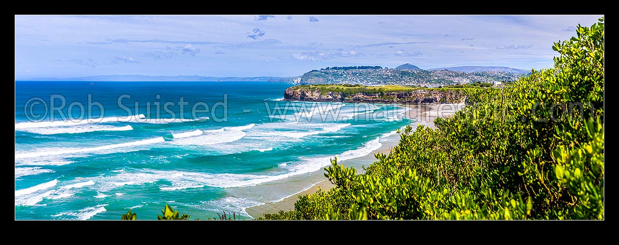 Image of Tomahawk Beach, looking south past Ocean Grove to Lawyers Head and St Clair suburb behind. Dunedin south coast. Panorama, Dunedin, Dunedin City District, Otago Region, New Zealand (NZ) stock photo image