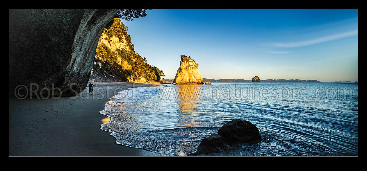 Image of Cathedral Cove beach with early morning photographer photographing the sunrise on the beach and rocks. Panorama, Hahei, Thames-Coromandel District, Waikato Region, New Zealand (NZ) stock photo image