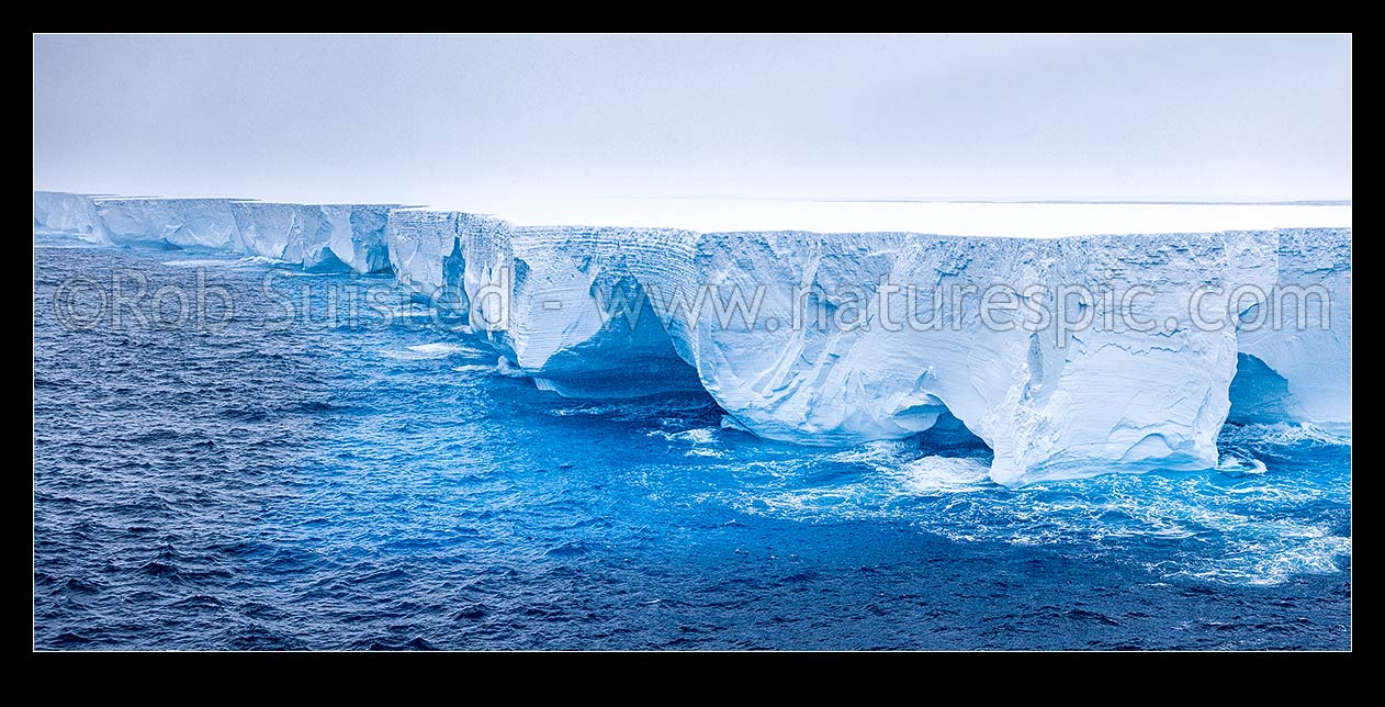 Image of A23a iceberg afloat in Iceberg ally north of the South Shetland Islands at cordinates -61.107 -51.152. 40 NM wide, 3900 sqKm area from Filchner Ice Shelf in 1986. Jan 2024, Southern Ocean, Antarctica Region, Antarctica stock photo image