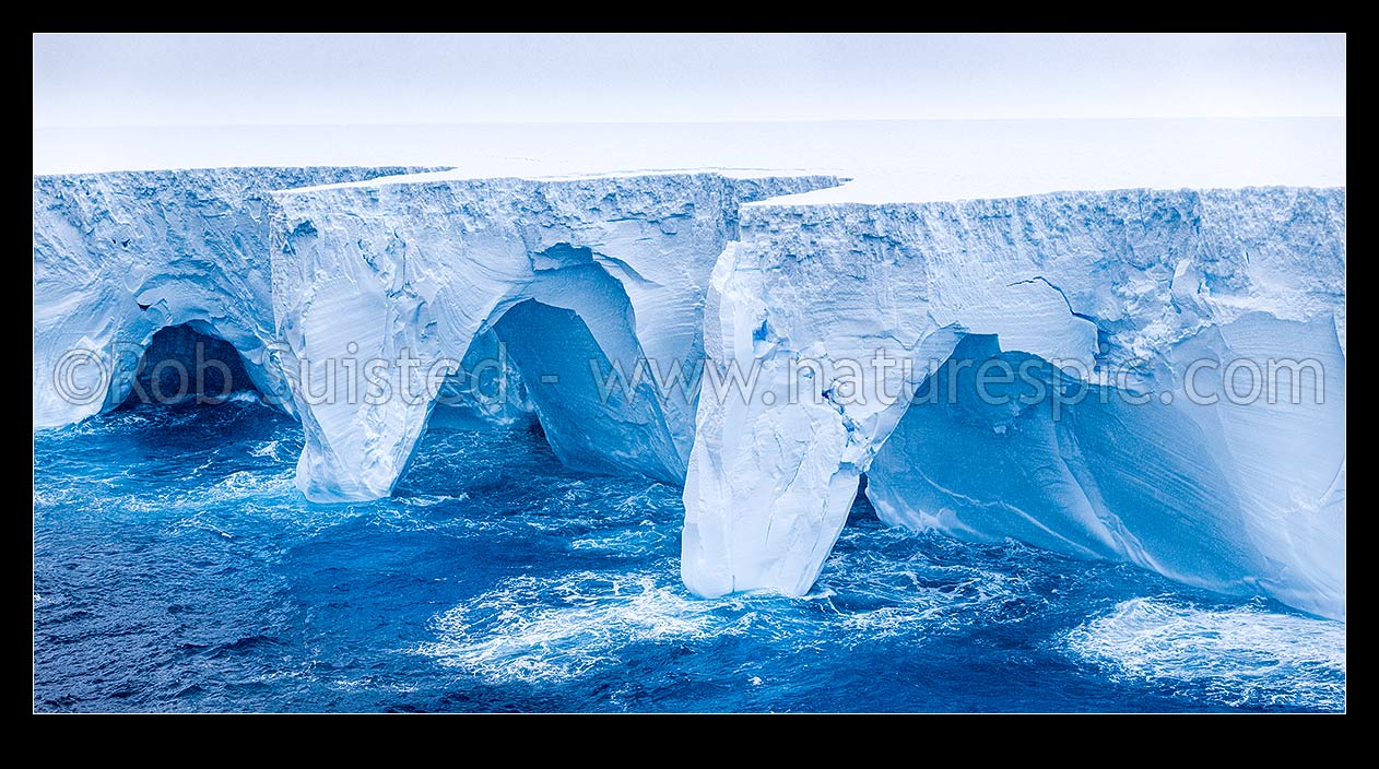 Image of A23a iceberg afloat in Iceberg ally north of the South Shetland Islands at cordinates -61.107 -51.152. 40 NM wide, 3900 sqKm area from Filchner Ice Shelf in 1986. Jan 2024, Southern Ocean, Antarctica Region, Antarctica stock photo image