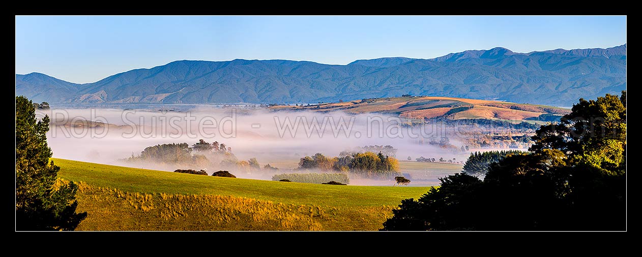 Image of Rural Gladstone morning panorama, with autumn colours and morning mist hanging in valleys. Tararua Ranges behind (Mt Alpha 1361m right). Panorama, Gladstone, Carterton District, Wellington Region, New Zealand (NZ) stock photo image