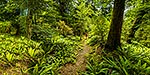 Tramping, Ruahine Forest Park