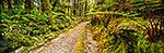 Mahinapua walkway, Hokitika