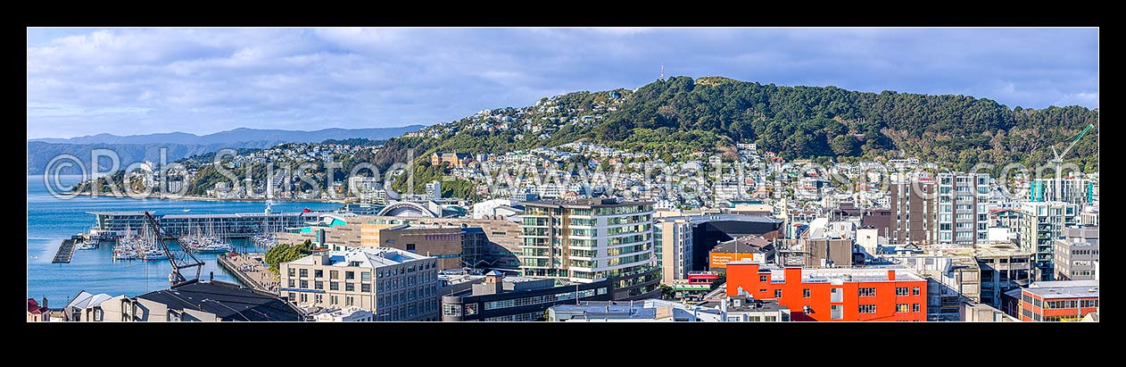 Image of Wellington City CBD panorama, looking over Te Aro towards Clyde Quay Wharf, harbour, Te Papa Museum, Oriental Bay, Roseneath and Mount Victoria above, Wellington, Wellington City District, Wellington Region, New Zealand (NZ) stock photo image