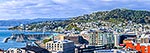 Wellington City and harbour pano