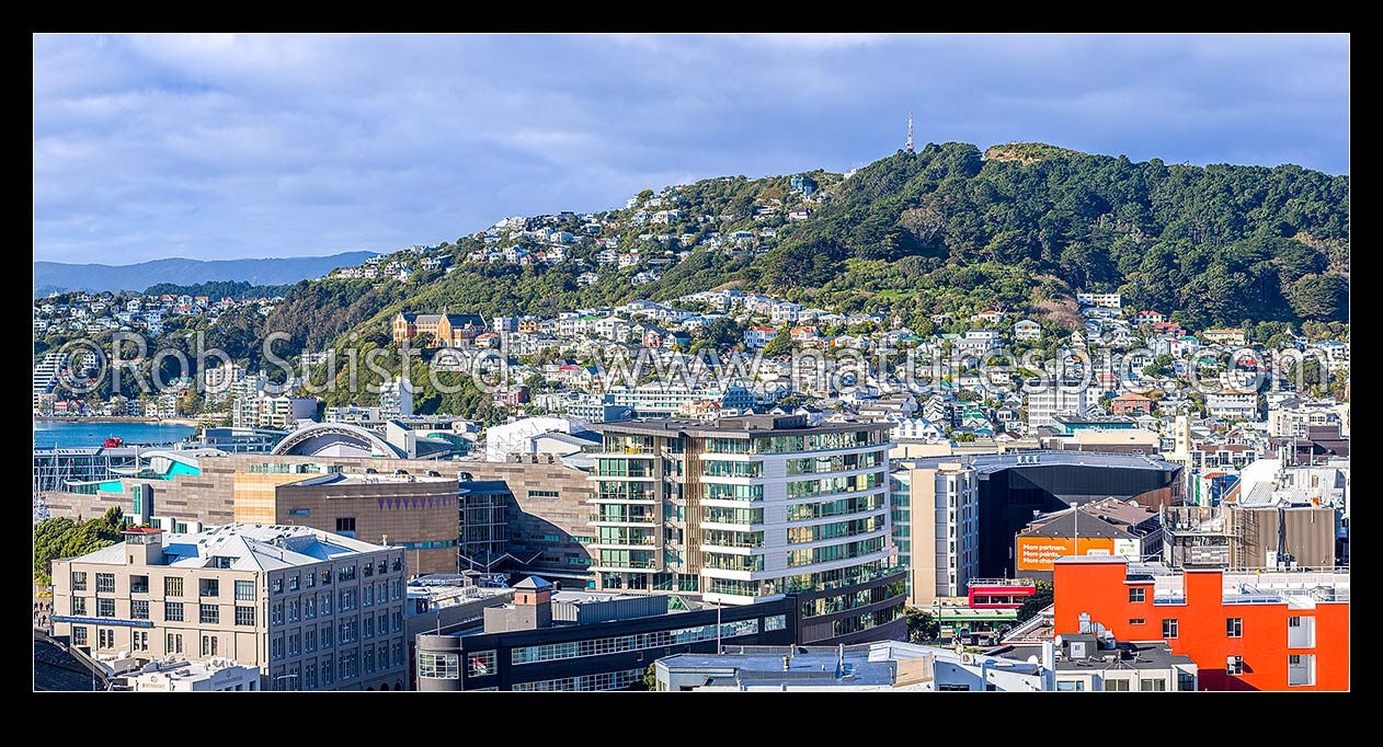 Image of Wellington City CBD panorama, looking over Te Aro towards Te Papa Museum, Oriental Bay, and Roseneath and Mount Victoria above, Wellington, Wellington City District, Wellington Region, New Zealand (NZ) stock photo image