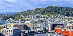 Wellington City and harbour pano