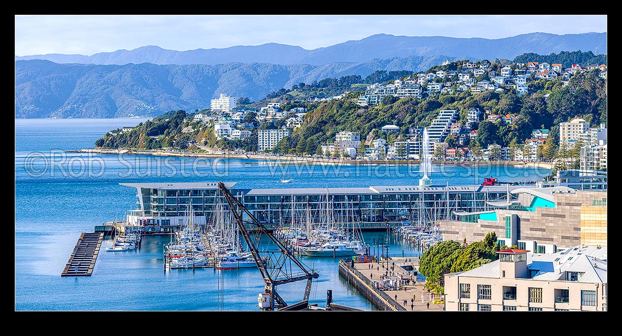 Image of Wellington City CBD panorama, looking over Te Aro towards Wellington Waterfront, Clyde Quay Wharf and marina, harbour, Te Papa Museum, and Oriental Bay. Remutaka Range beyond, Wellington, Wellington City District, Wellington Region, New Zealand (NZ) stock photo image