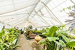 Oamaru Display Greenhouse historic