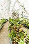 Oamaru Display Greenhouse historic