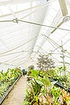 Oamaru Display Greenhouse historic