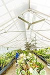 Oamaru Display Greenhouse historic