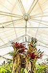 Oamaru Display Greenhouse historic