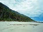 Heaphy track coast