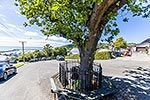 Captain Scott memorial, Oamaru town