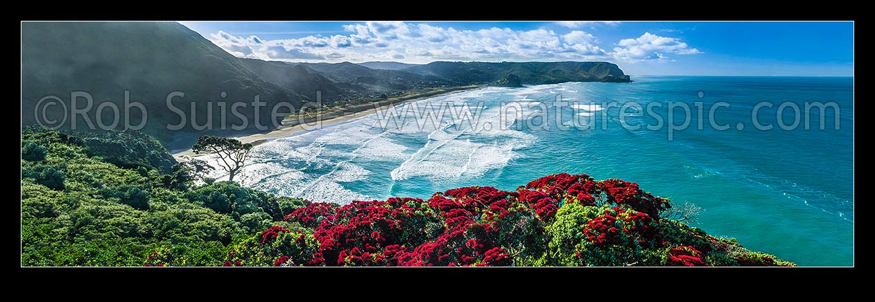 Image of North Piha Beach, and Kohunui Bay, seen from Te Waha Point. Lion Rock and Kaiwhare Point distant. Waitakere Ranges, West Auckland, with flowering Pohutukawa trees. Aerial panorama, Piha Beach, Waitakere City District, Auckland Region, New Zealand (NZ) stock photo image