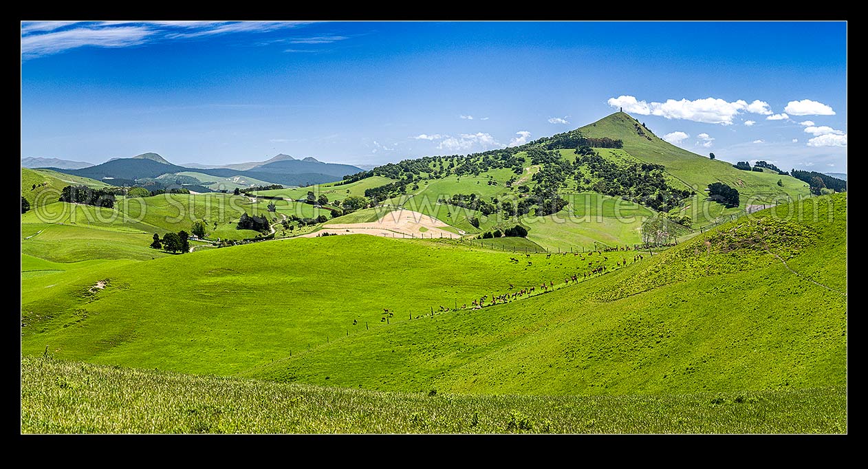 Image of Rural lush farmland panorama near Goodwood with rolling hills and paddocks. Mt Puketapu (343m) a local landmark with McKenzie memorial on summit at right, Palmerston, Waitaki District, Canterbury Region, New Zealand (NZ) stock photo image