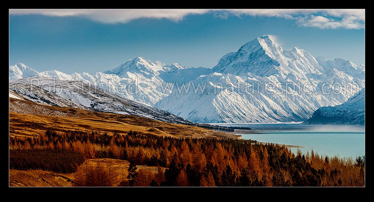 Image of Aoraki / Mount Cook (3754m) and Lake Pukaki in winter. Mt La Perouse (3078m) left, Tasman Valley far right. Panorama with late autumn colours, Aoraki / Mount Cook National Park, MacKenzie District, Canterbury Region, New Zealand (NZ) stock photo image