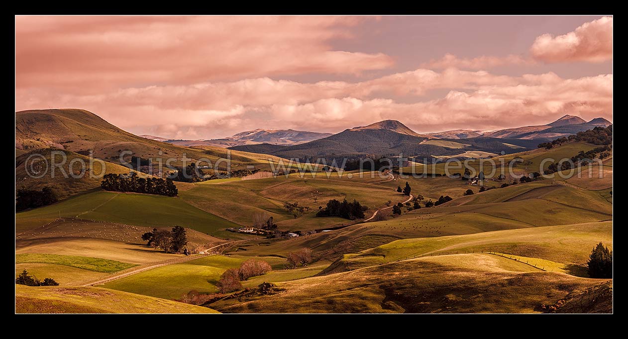 Image of North Otago farmland near Goodwood. Similar to 39924 with different light, Palmerston, Waitaki District, Canterbury Region, New Zealand (NZ) stock photo image