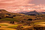 North Otago farmland, Goodwood