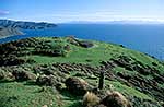 Makara Gun emplacements