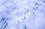 Footsteps in snow