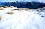 foot prints in snow