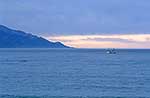 Fishing boat, Kaikoura sunset