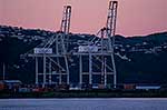 Port of Wellington cranes at dusk