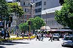 Downtown Wellington pedestrians