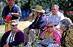 Pacific Island spectators, Wgtn