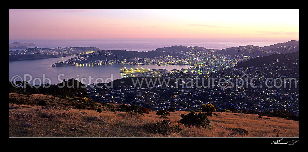 Image of Looking south down onto Wellington City from Mount (Mt) Kaukau (445m); at sunset, Wellington, Wellington City District, Wellington Region, New Zealand (NZ) stock photo image