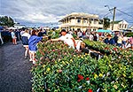 Martinborough Fair