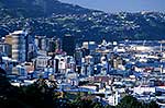 Wellington Cityscape