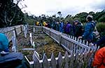 Auckland Islands