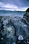 Ulva Island  from Stewart Island